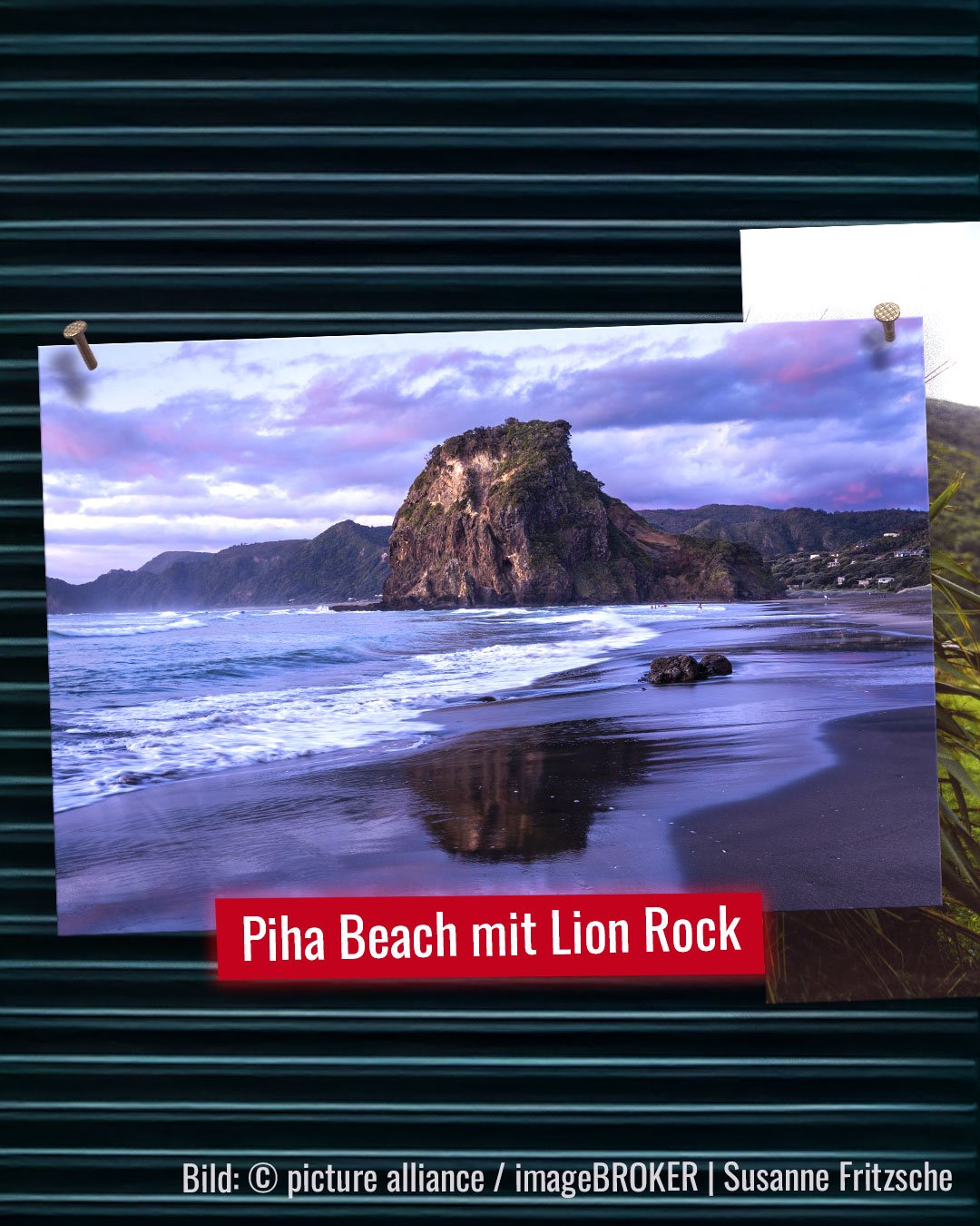 Plothouse-Galerie-45-Neuseeland-Bild1.jpg