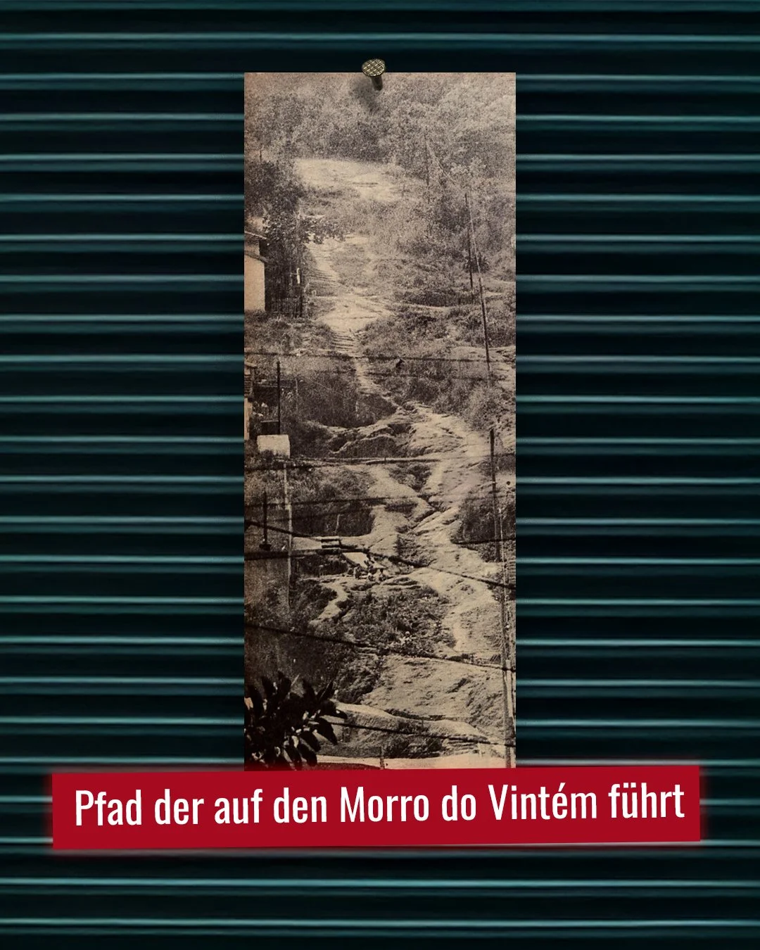PH-Galerie-Nico-Bild4.jpg