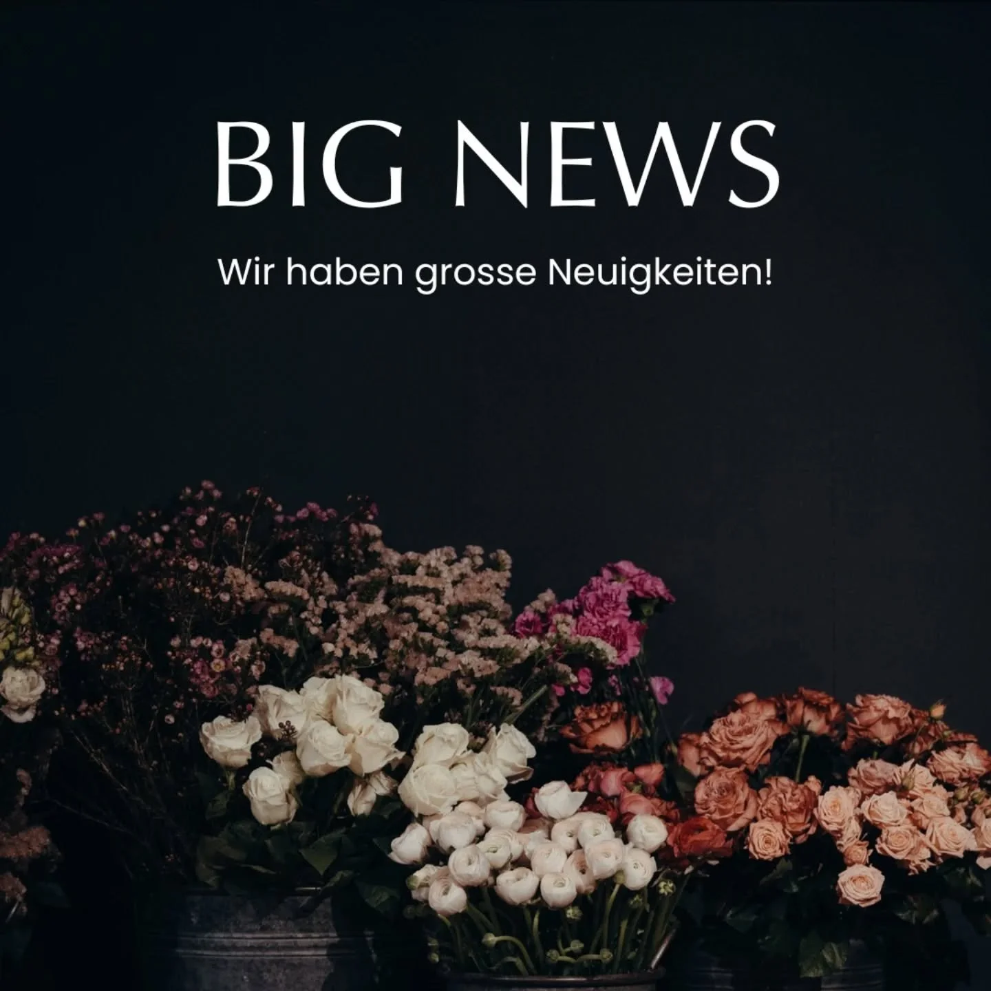 Wir haben grosse Neuigkeiten!!

Nach 9 Jahren wirken im Hintergrund, steigt Eros Vollzeit bei Flowerlove mit ein.

Was f&uuml;r eine Reise haben wir hinter uns. 2016, gleichzeitig mit der Geburt unserer Tochter haben wir meinen Traum verwirklicht und