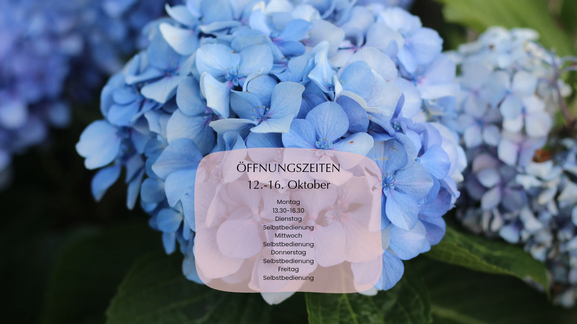 Öffnungszeiten Slider_20261011_170230_0000.png