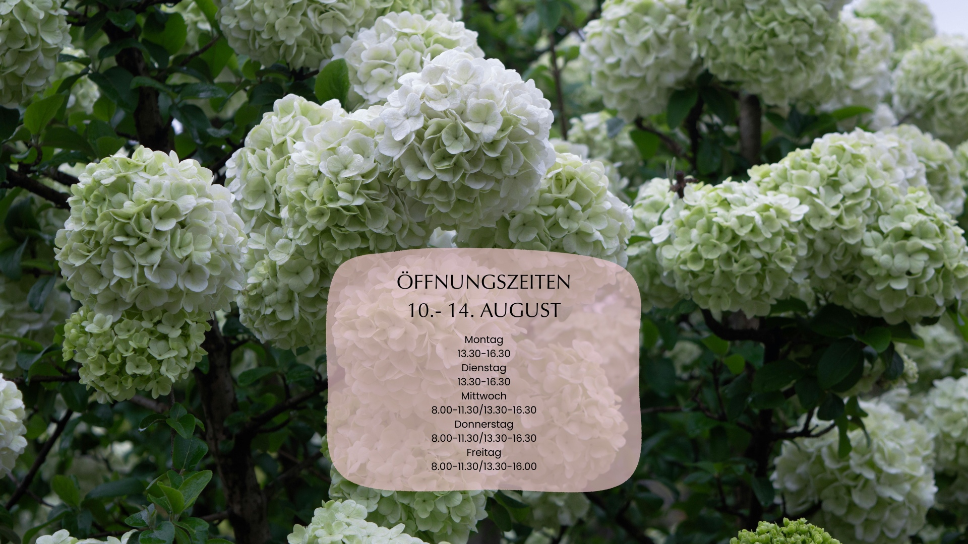 Öffnungszeiten Slider.png