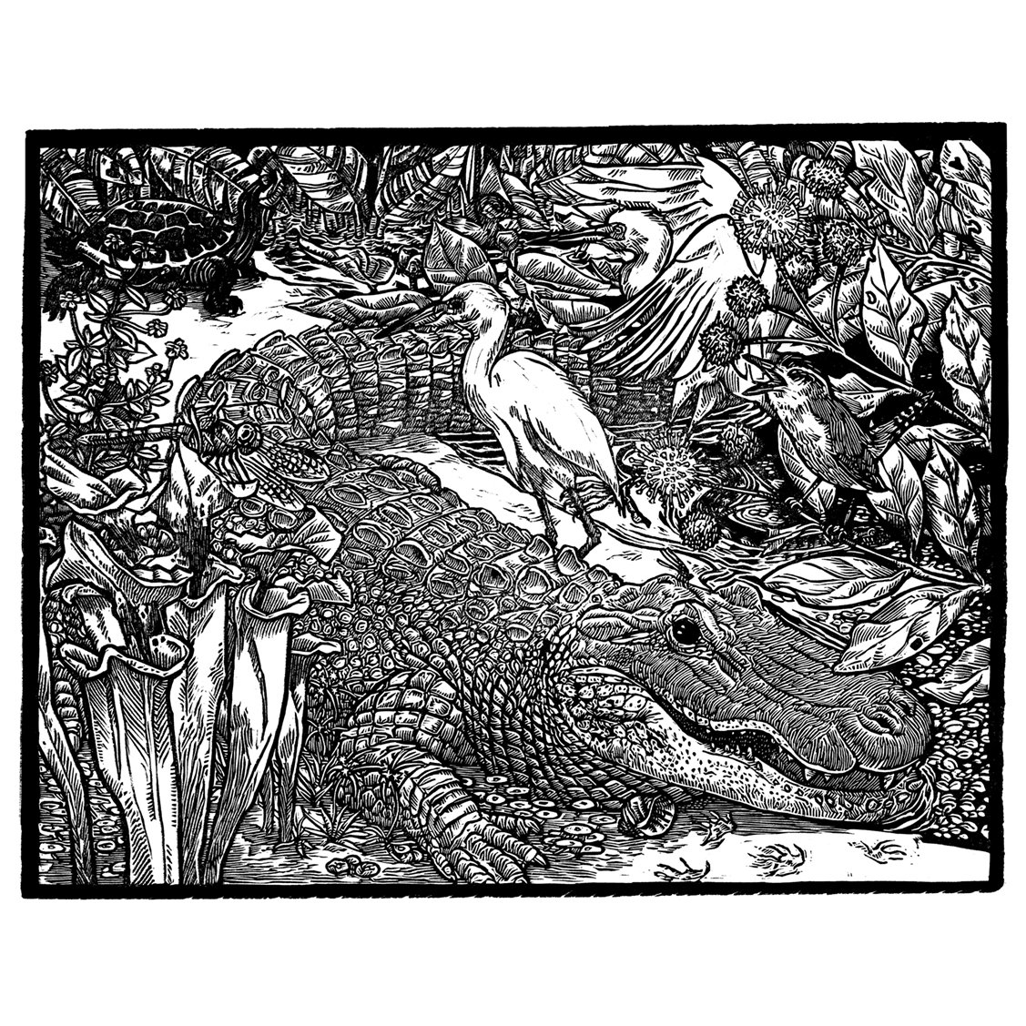 Matthew L. Clark - Birds in the Sky, Fish in the Sea