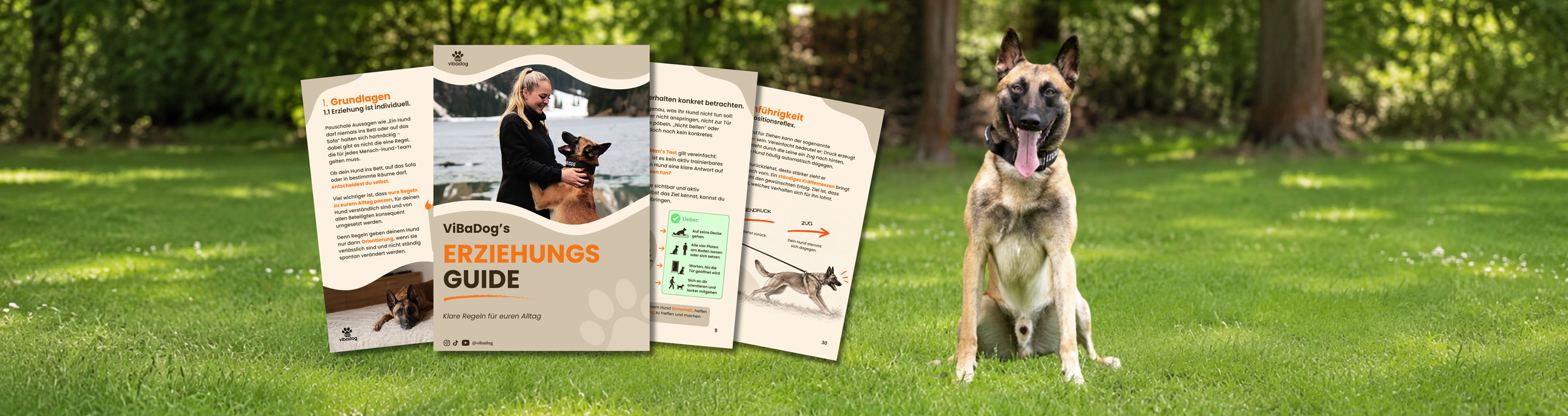ViBaDog Erziehungsguide mit Einblicken in die Inhalte und einem Malinois auf einer grünen Wiese. Der Guide behandelt Hundeerziehung, Leinenführigkeit und Rückruf.