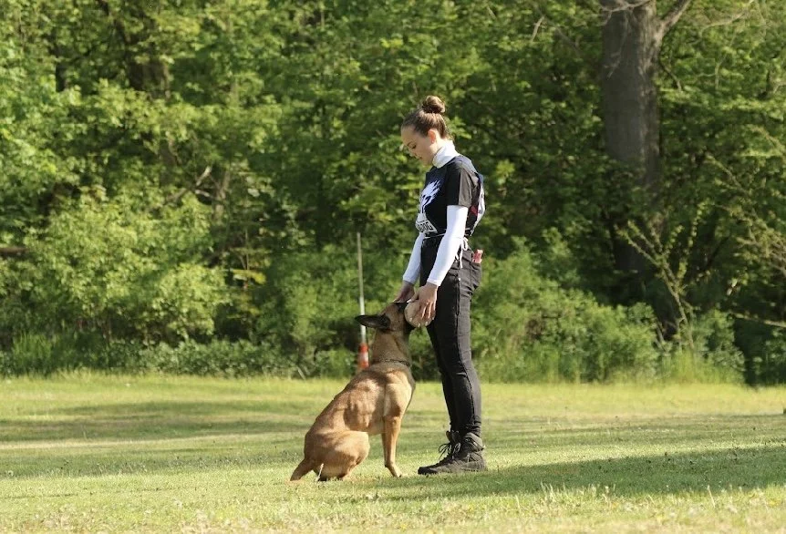Vivienne von ViBaDog trainiert mit ihrem Malinois die Unterordnung Apporte im IGP-Hundesport – konzentrierte Zusammenarbeit zwischen Mensch und Hund.