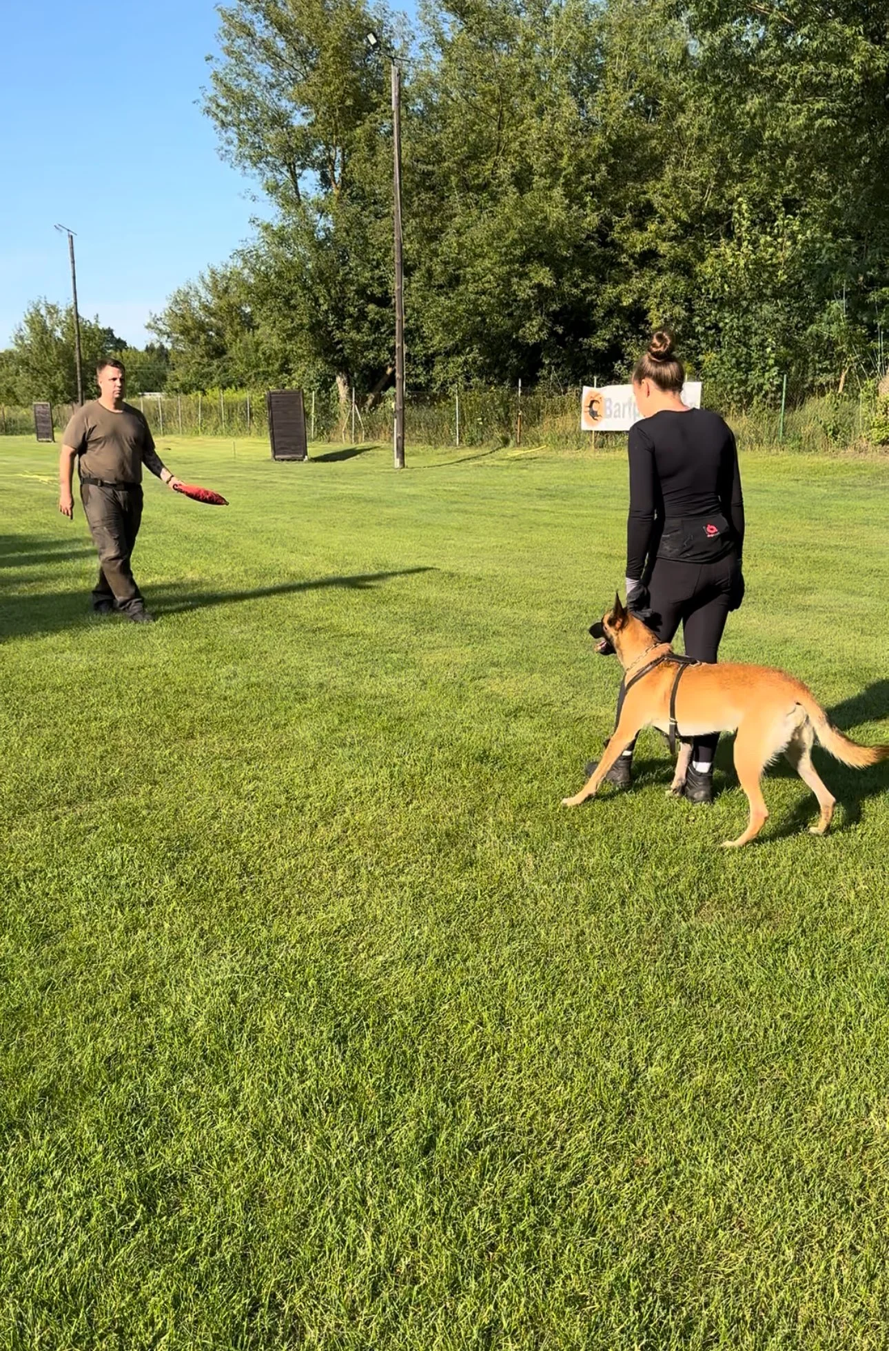 Zwei Menschen mit einem deutschen Schäferhund in einem grünen Park, die eine Hundeschulung oder -übung machen.