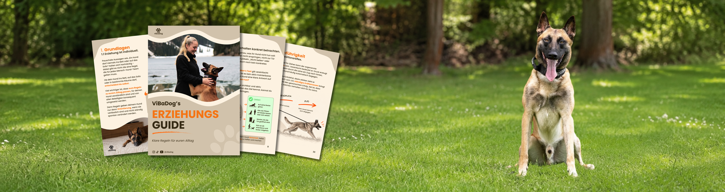 ViBaDog Erziehungsguide mit Einblicken in die Inhalte und einem Malinois auf einer grünen Wiese. Der Guide behandelt Hundeerziehung, Leinenführigkeit und Rückruf.