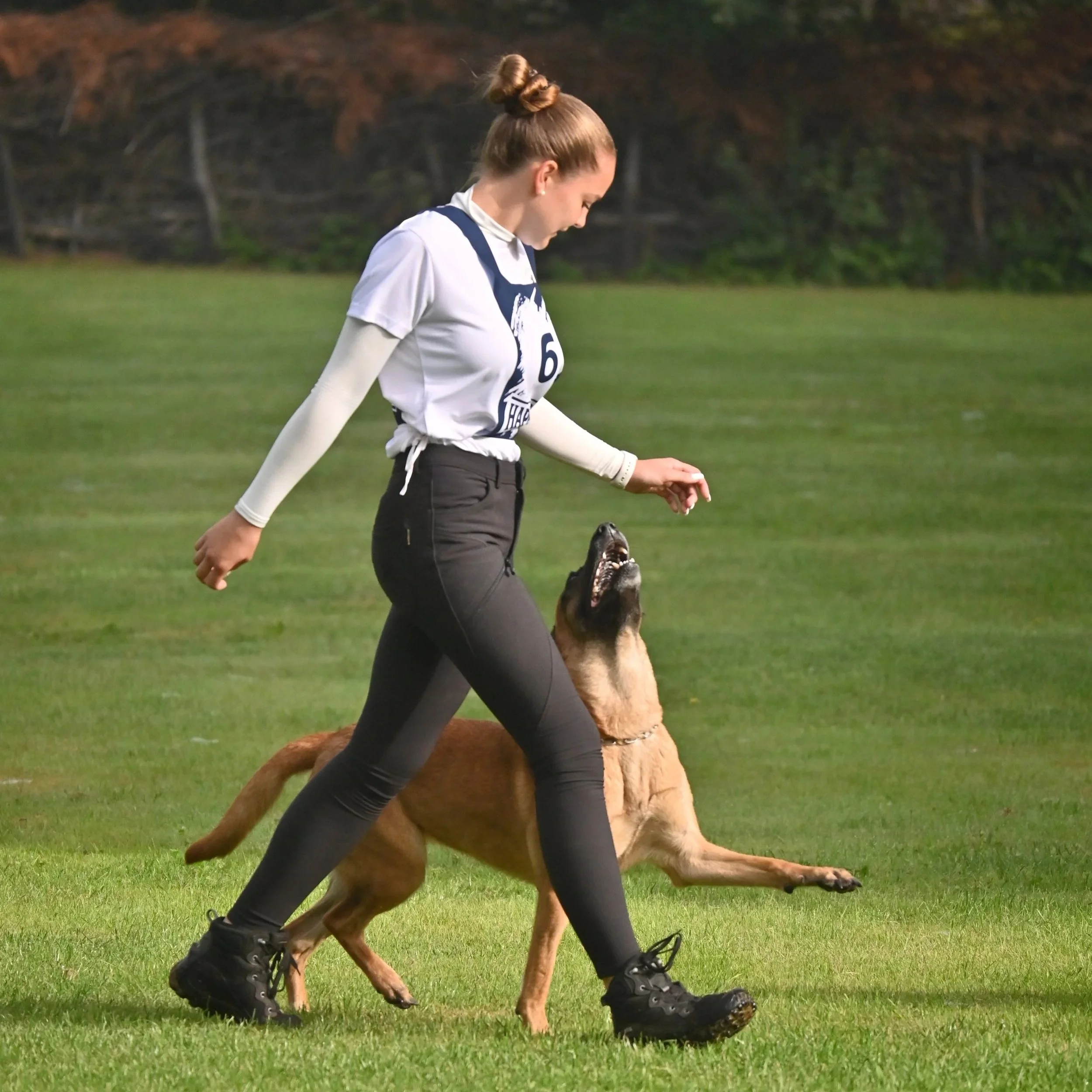 Hundetrainerin Vivienne von ViBaDog trainiert präzises Fußlaufen mit einem Malinois in der IGP-Unterordnung.