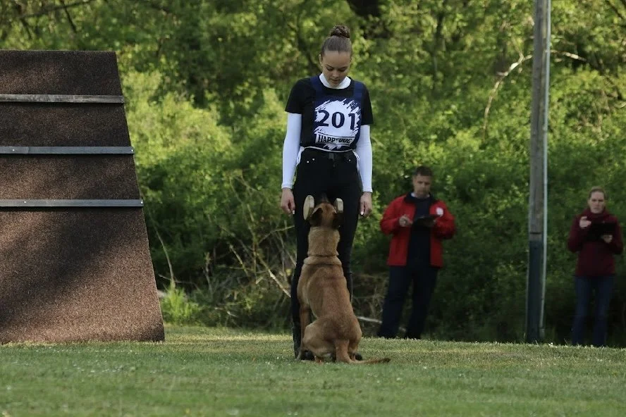 Junge Frau trainiert mit einem Hund im Park, andere Personen im Hintergrund sehen auf ihre Mobiltelefone.