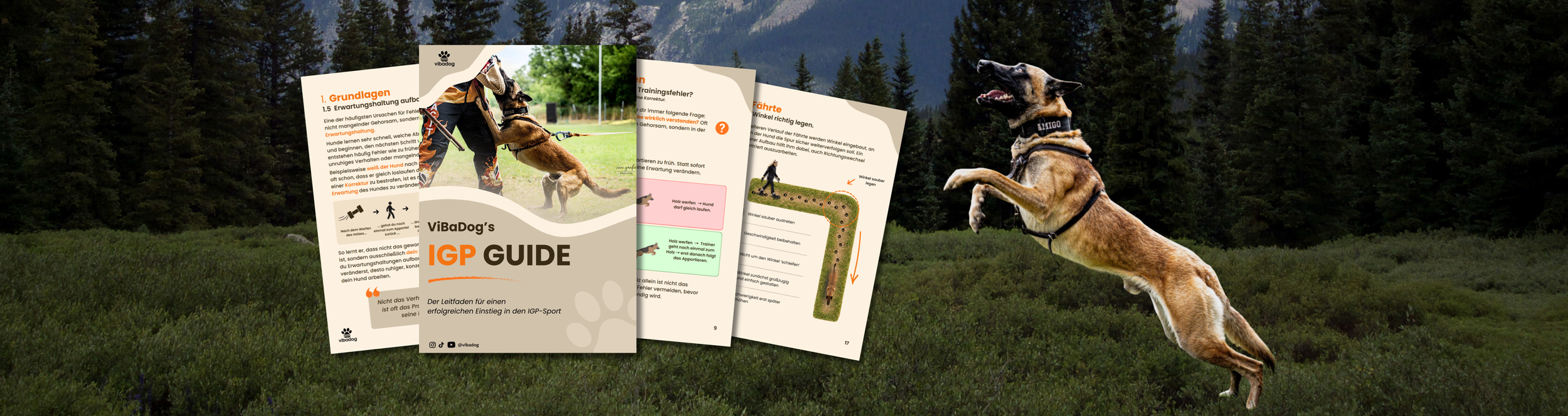 Kostenloser IGP-Guide von ViBaDog mit Grundlagen zu Fährtenarbeit, Unterordnung und Schutzdienst – Einsteigerleitfaden für den IGP-Hundesport.