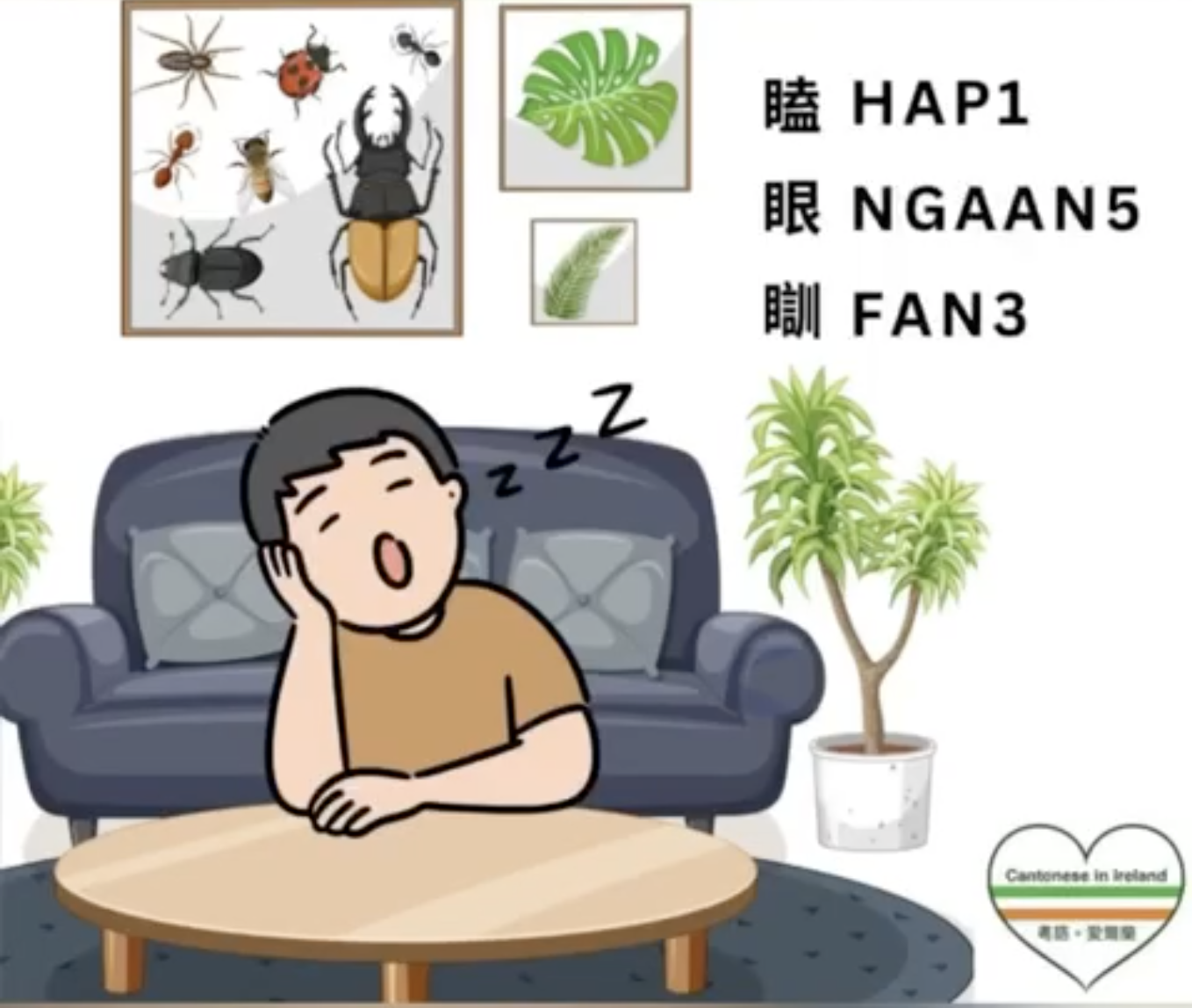 Weekly Cantonese: hap1 ngaan5 fan3每週廣東話：瞌眼瞓