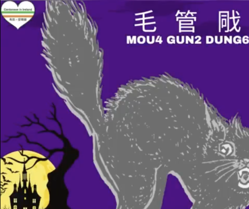 Weekly Cantonese:mou4 gun2 dung6每週廣東話: 毛管戙