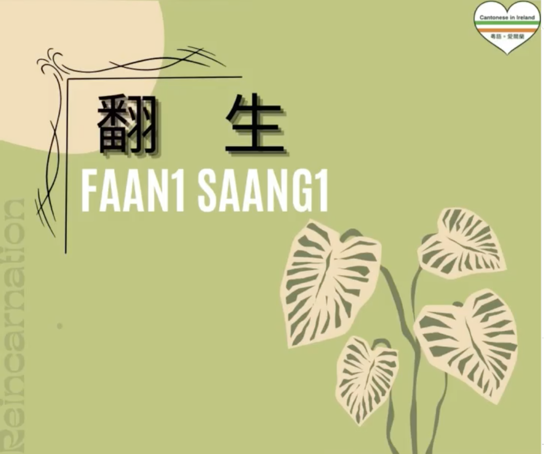 Weekly Cantonese: faan1 saang1每週廣東話: 翻生