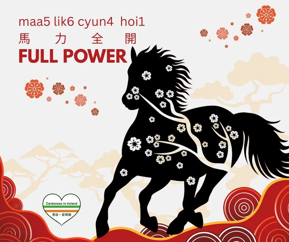 Happy Lunar New Year to everyone! / 祝大家農曆新年快樂！ 🎊🧧