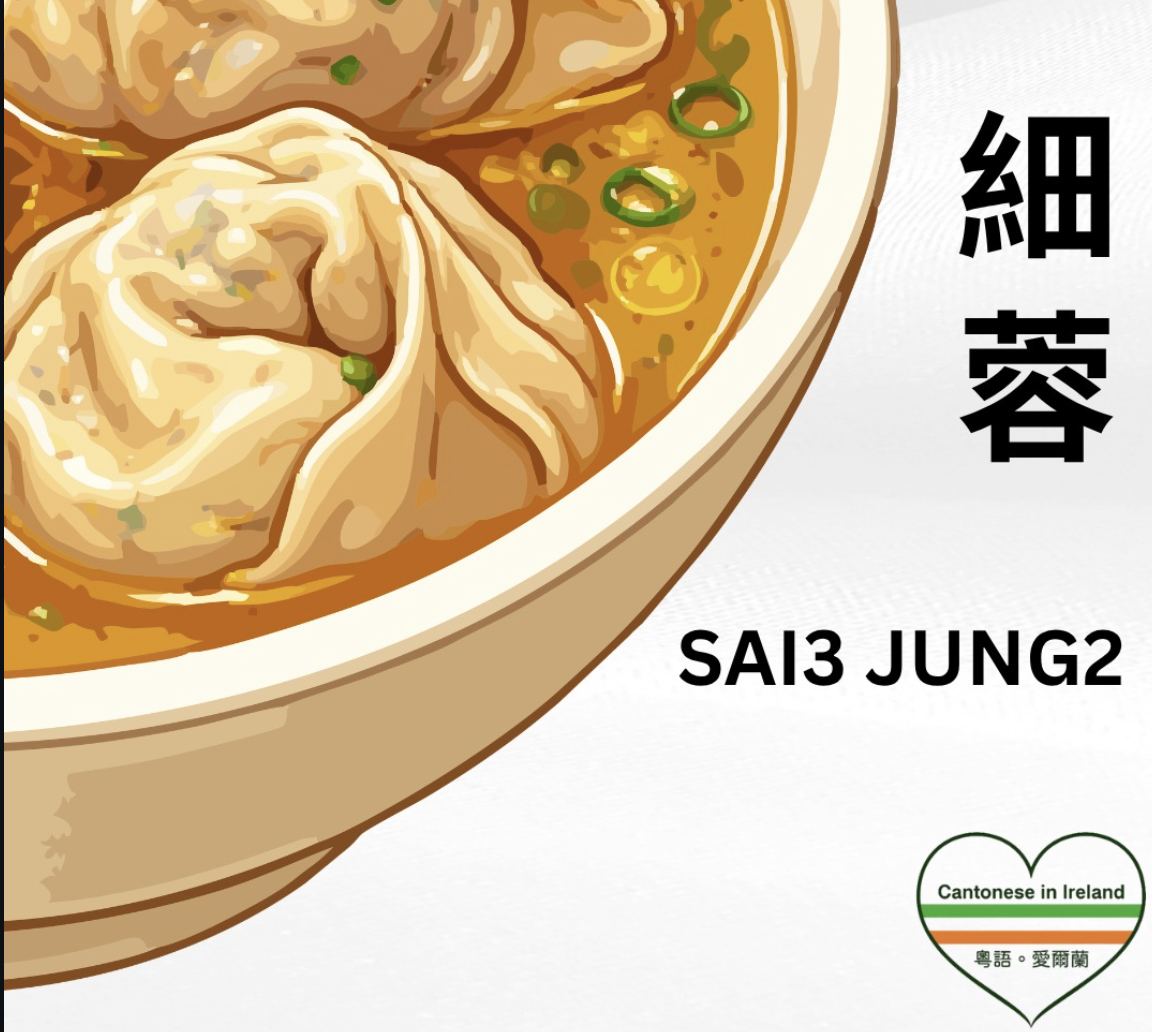 Weekly Cantonese: Sai3 Jung2每週廣東話：細蓉細蓉 / Small wonton noodles / Sai3 Jung2