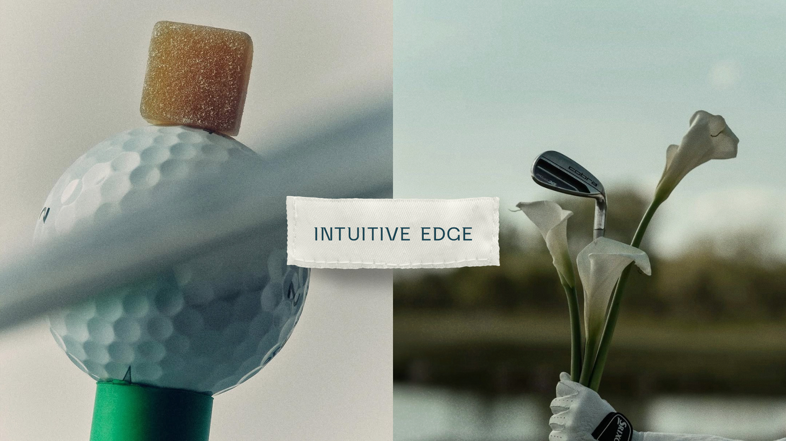 Creative visual direction for Intuitive Edge combining golf imagery and natural elements to reflect a balanced, nature-inspired brand identity