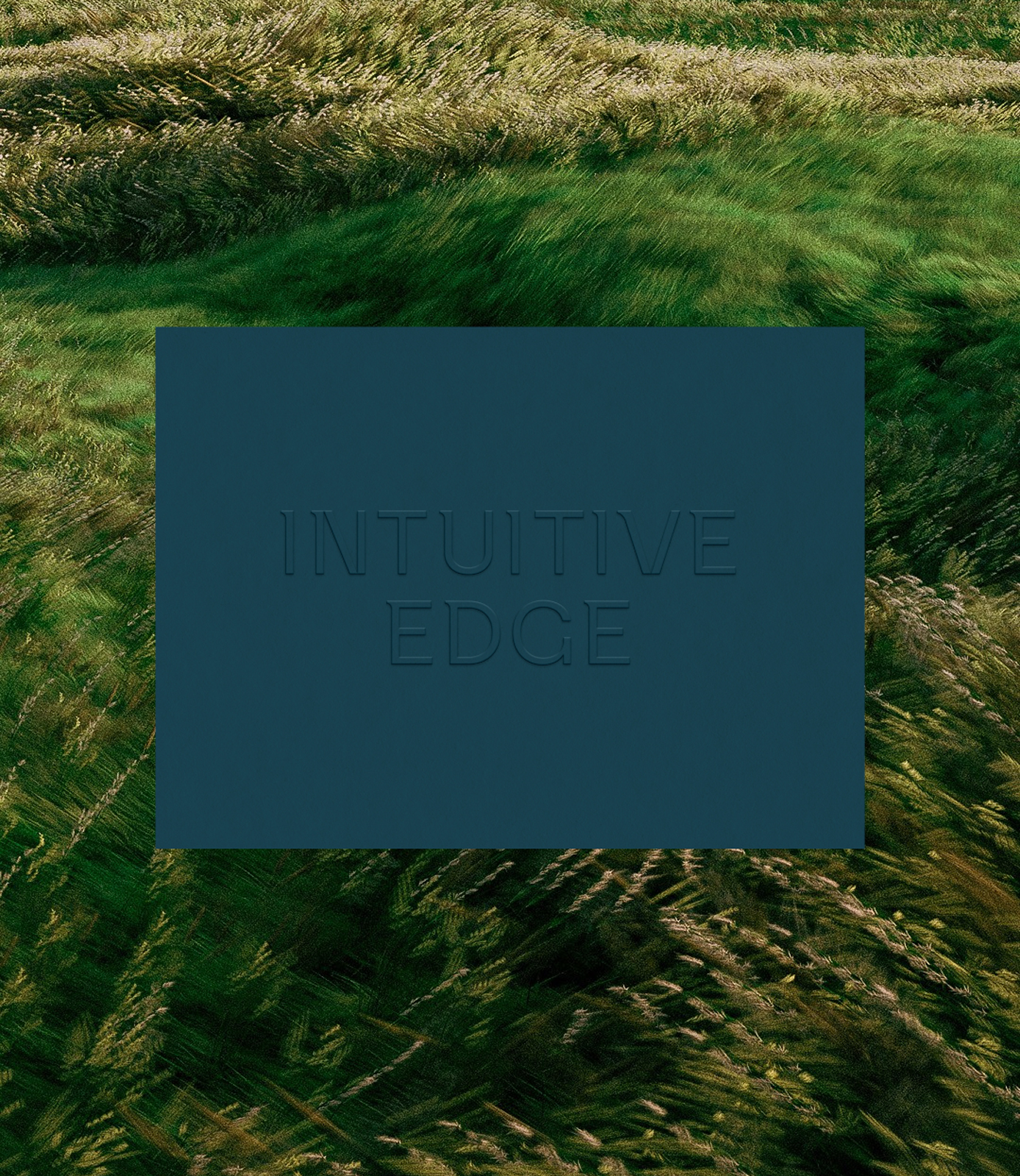 Intuitive Edge brand identity design with grass background and teal embossed logo, nature-inspired minimalist branding.