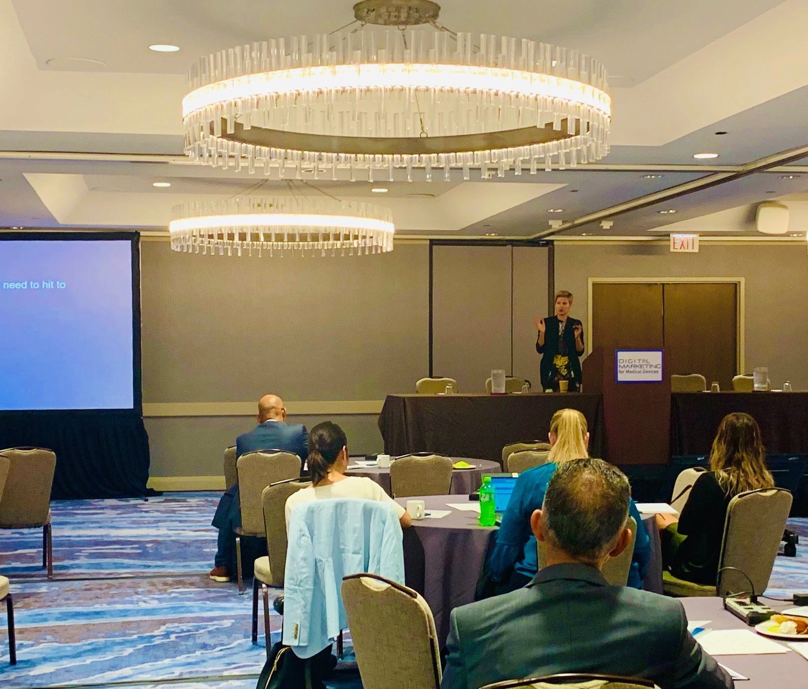 Tatsiana Gremyachinskiy speaking at Digital Marketing for Medical Devices in Minneapolis, 2019.  Topic: Understanding your campaign’s performance-making sense of KPIs, target numbers and benchmarks. 