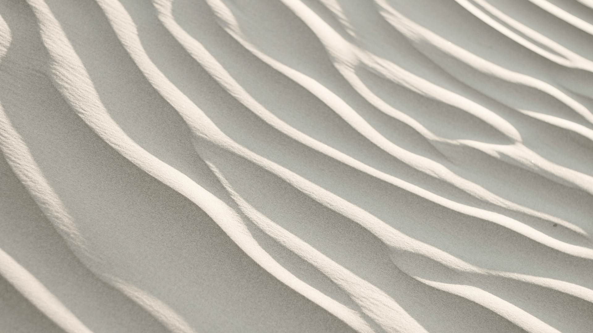 Understanding the Six Human Needs: Why We Do What We Do