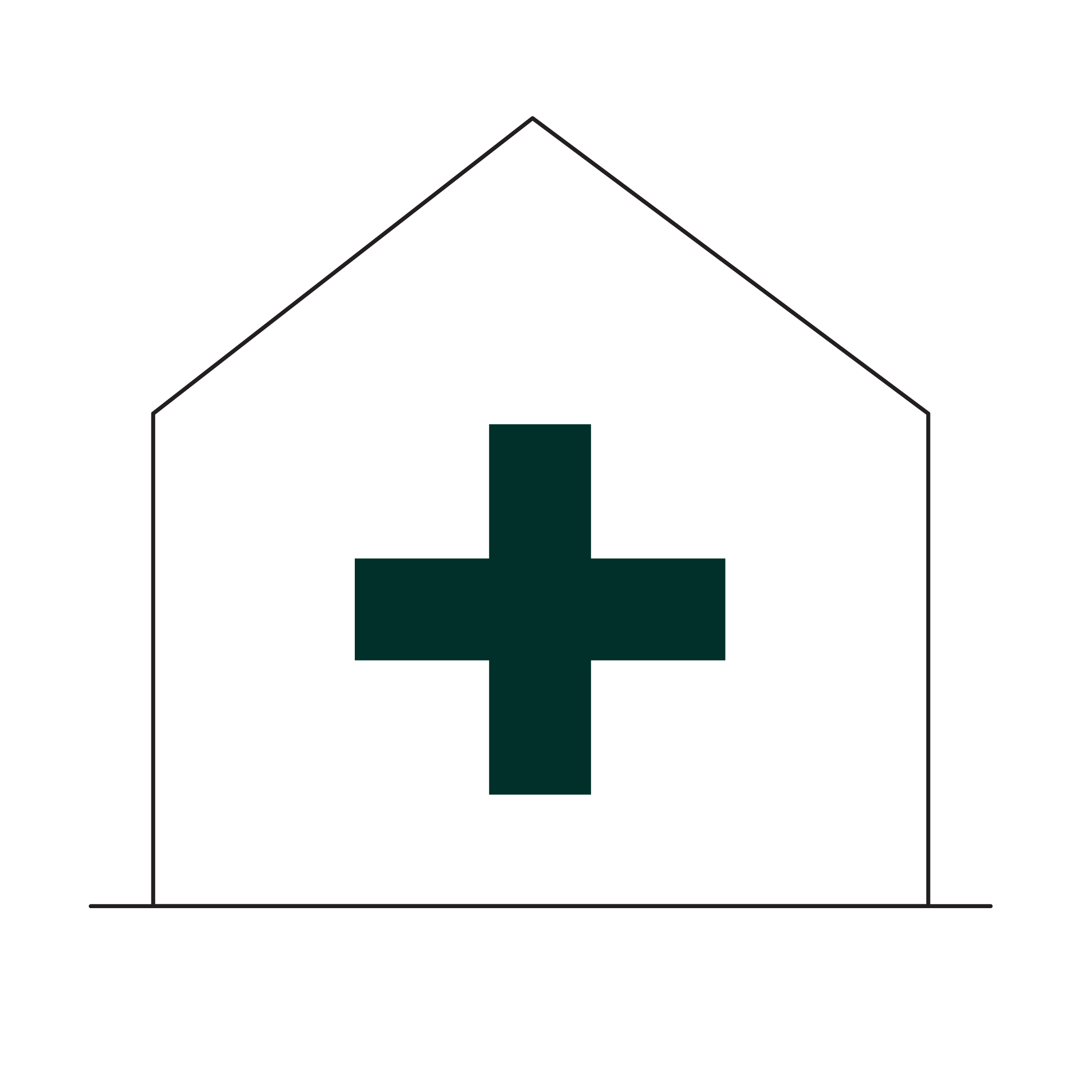 Medical cross symbol inside a house outline.