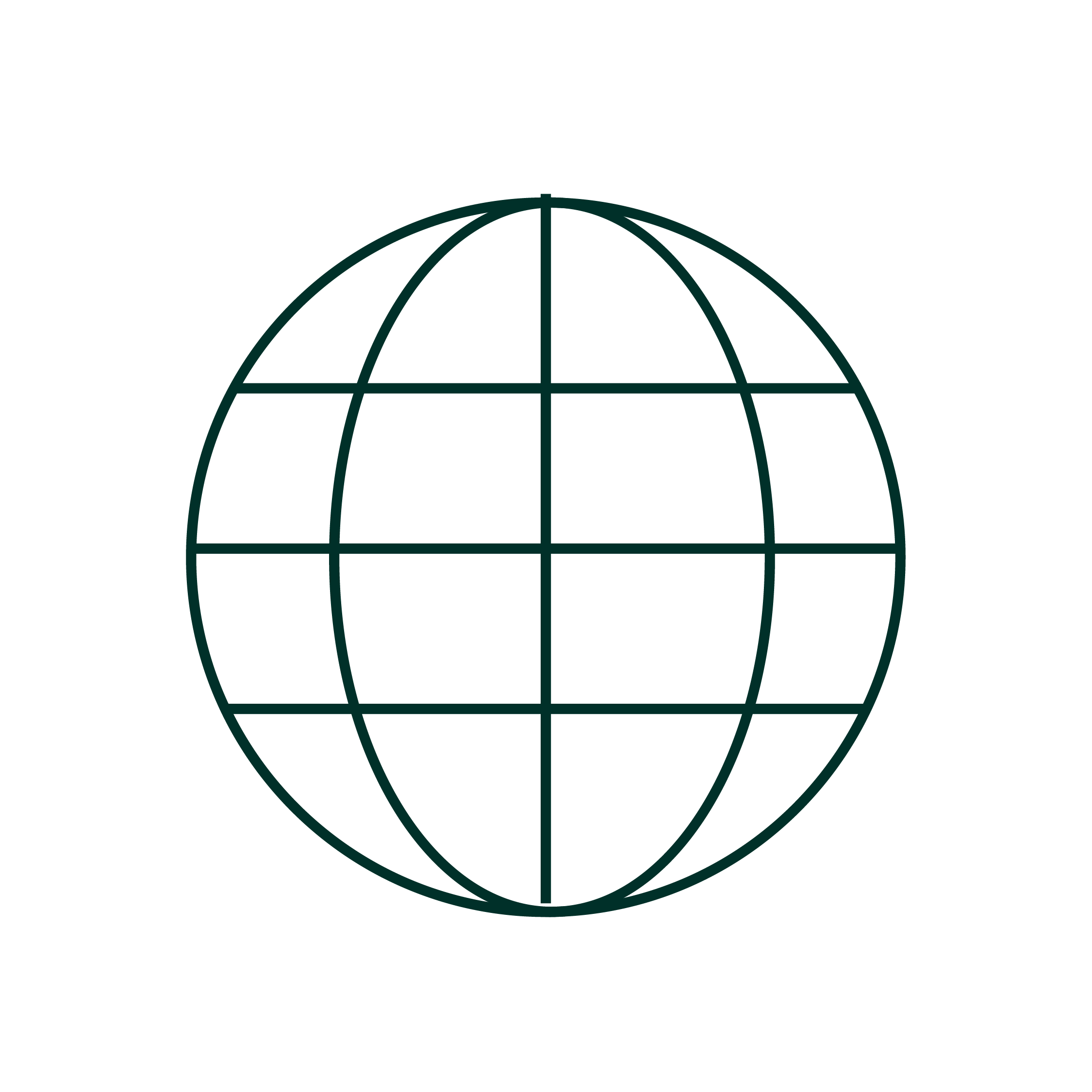 Outline of a globe with longitude and latitude lines on a black background.