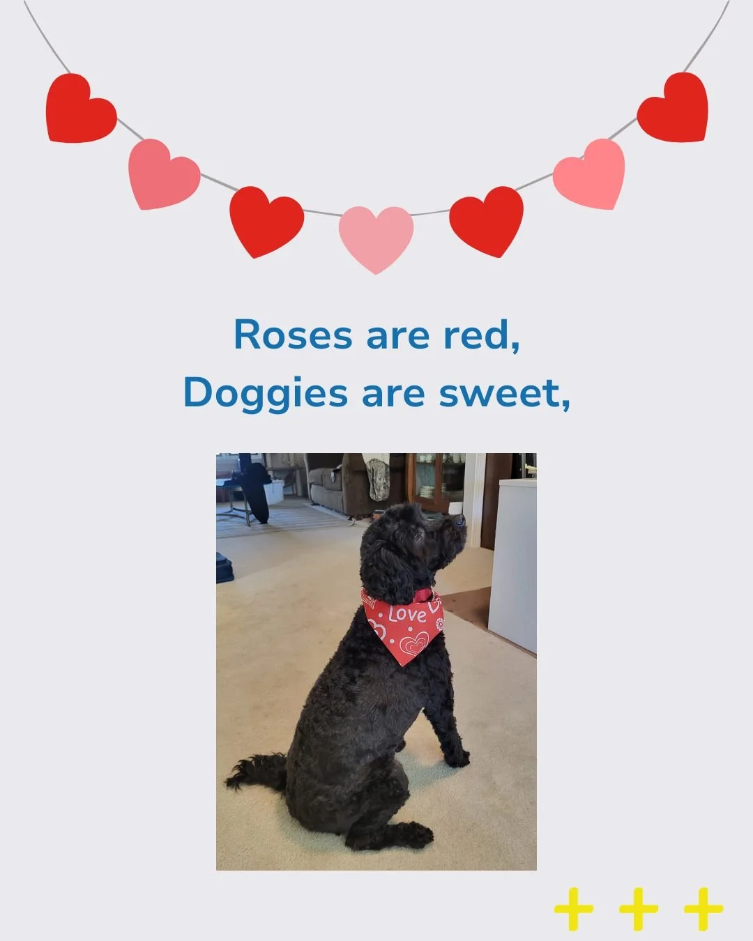 Happy Valentine's Day!