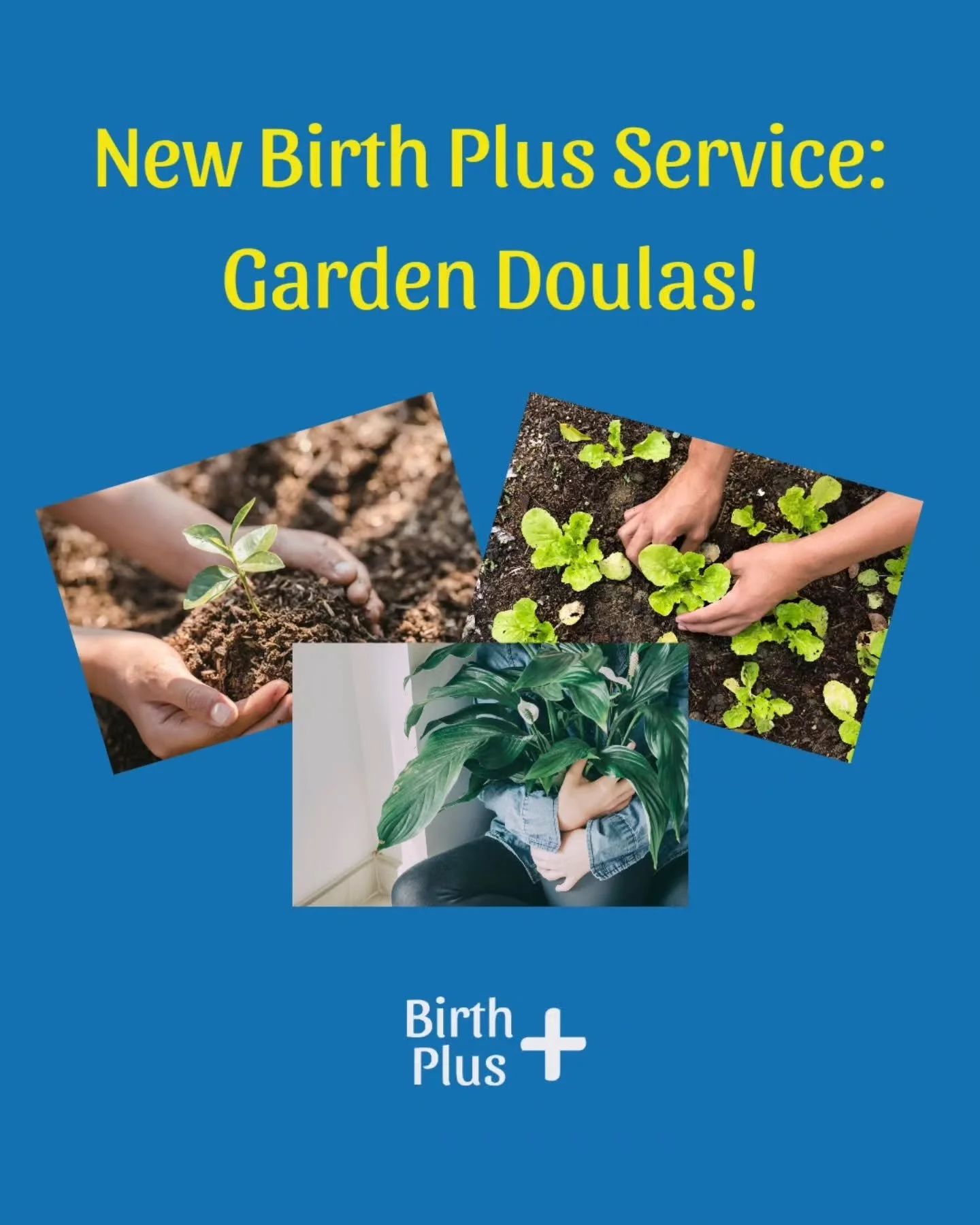 When your seedlings and sprouts need more emotional support than you can provide, find your Garden Doula at Birth Plus to give the loving treatment your garden needs!

🪴

Services include amateur humming and singing to your houseplants and outdoor g
