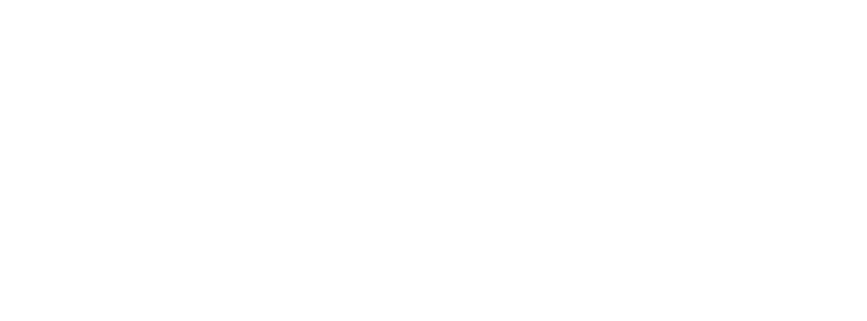 Southern Sky Aviation 