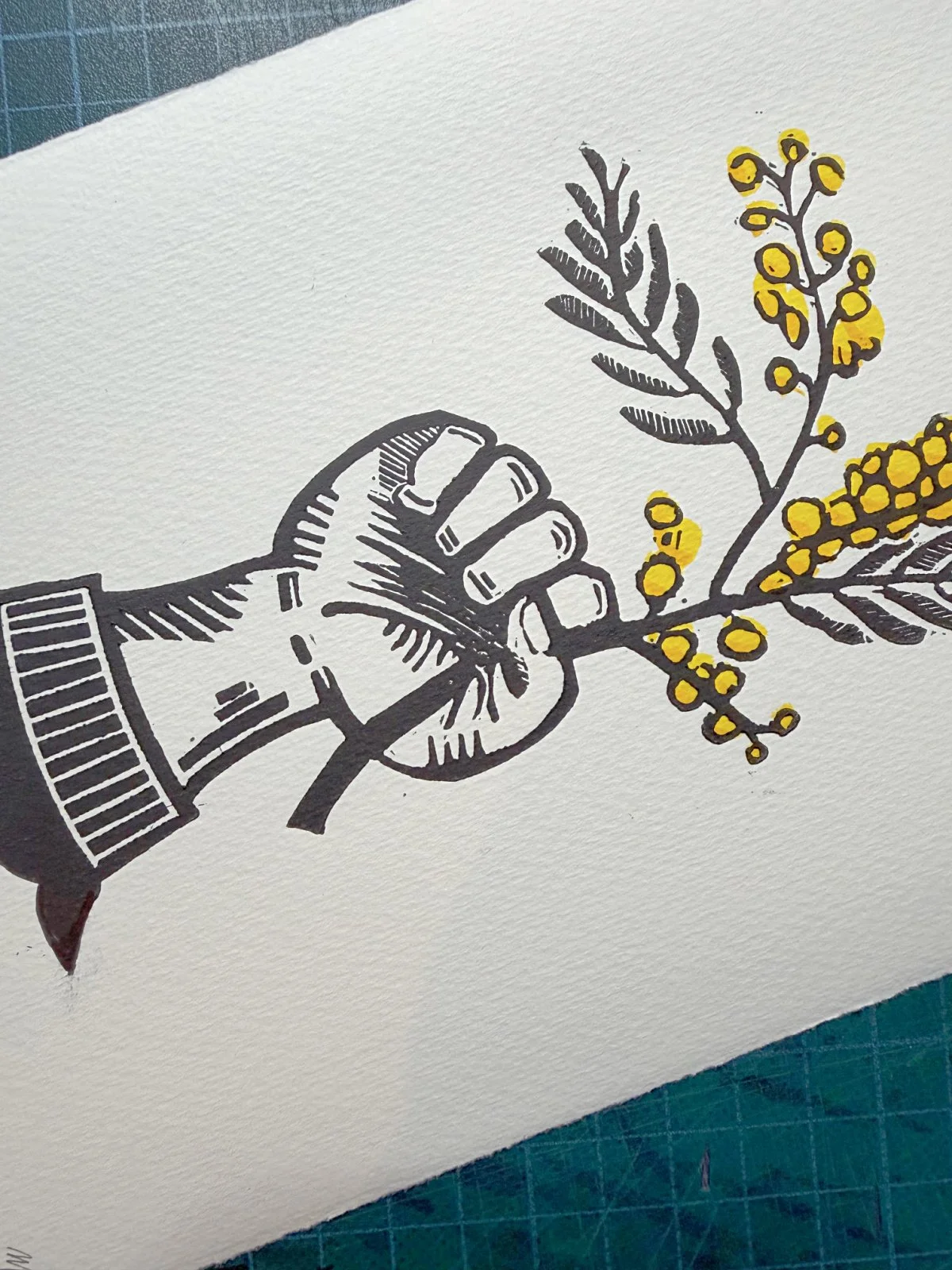 mimose - close (1).jpg