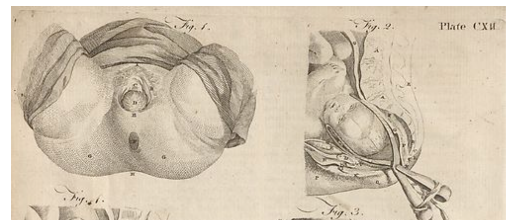 https://digital.nls.uk/encyclopaedia-britannica/archive