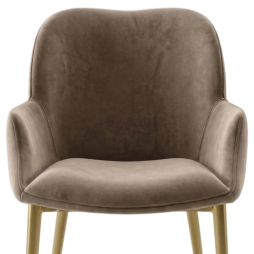 Medea Dining Chair 1zoom in on dining chair 680456.png