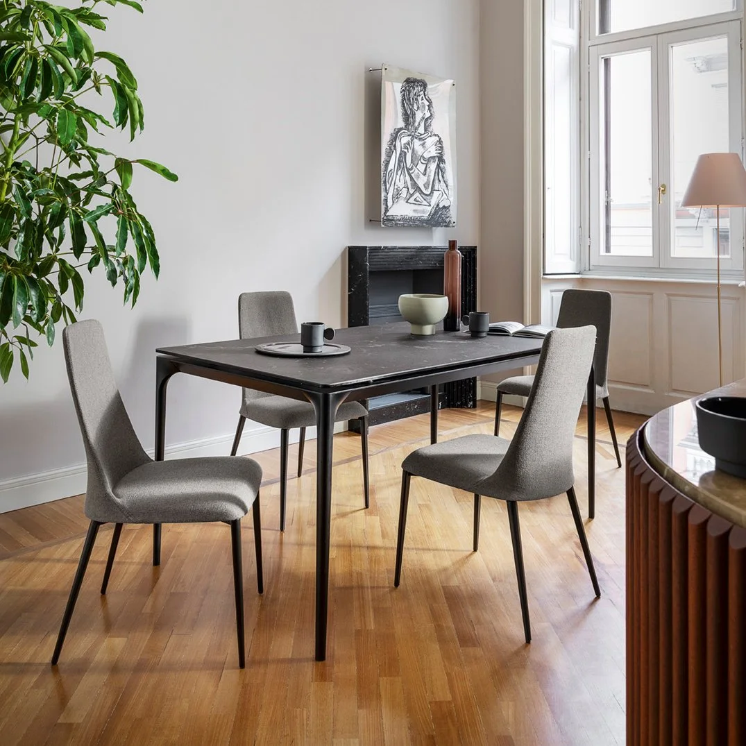 Modern dining room with Calligaris Etoile Chairs around a dark wooden table