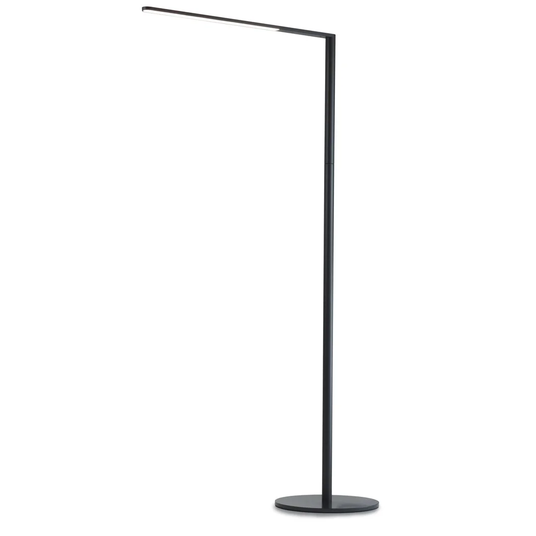 Koncept Lady 7 Floor Lamp in black finish, minimalist design
