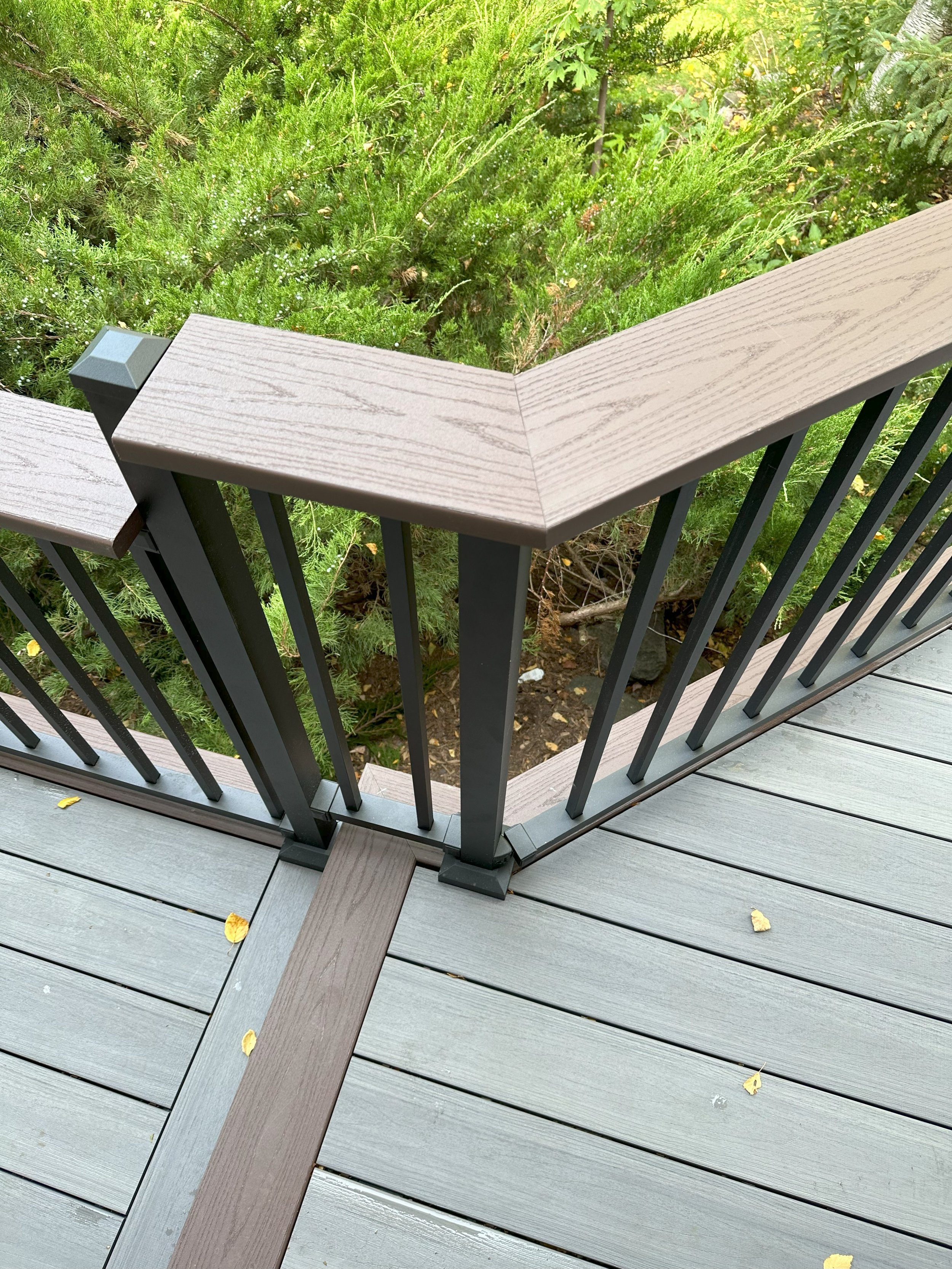 Wooden deck with metal railing overlooking green bushes