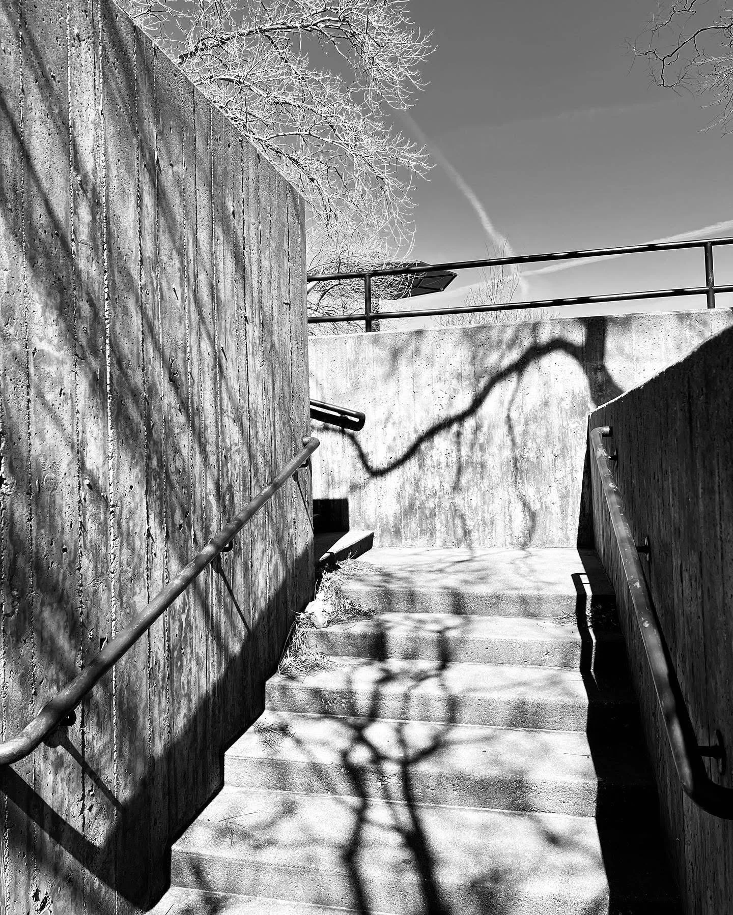Black and white photo of a staircase with concrete walls and metal handrails, shadows of tree branches cast on the walls and ground, trees with bare branches in the background.
