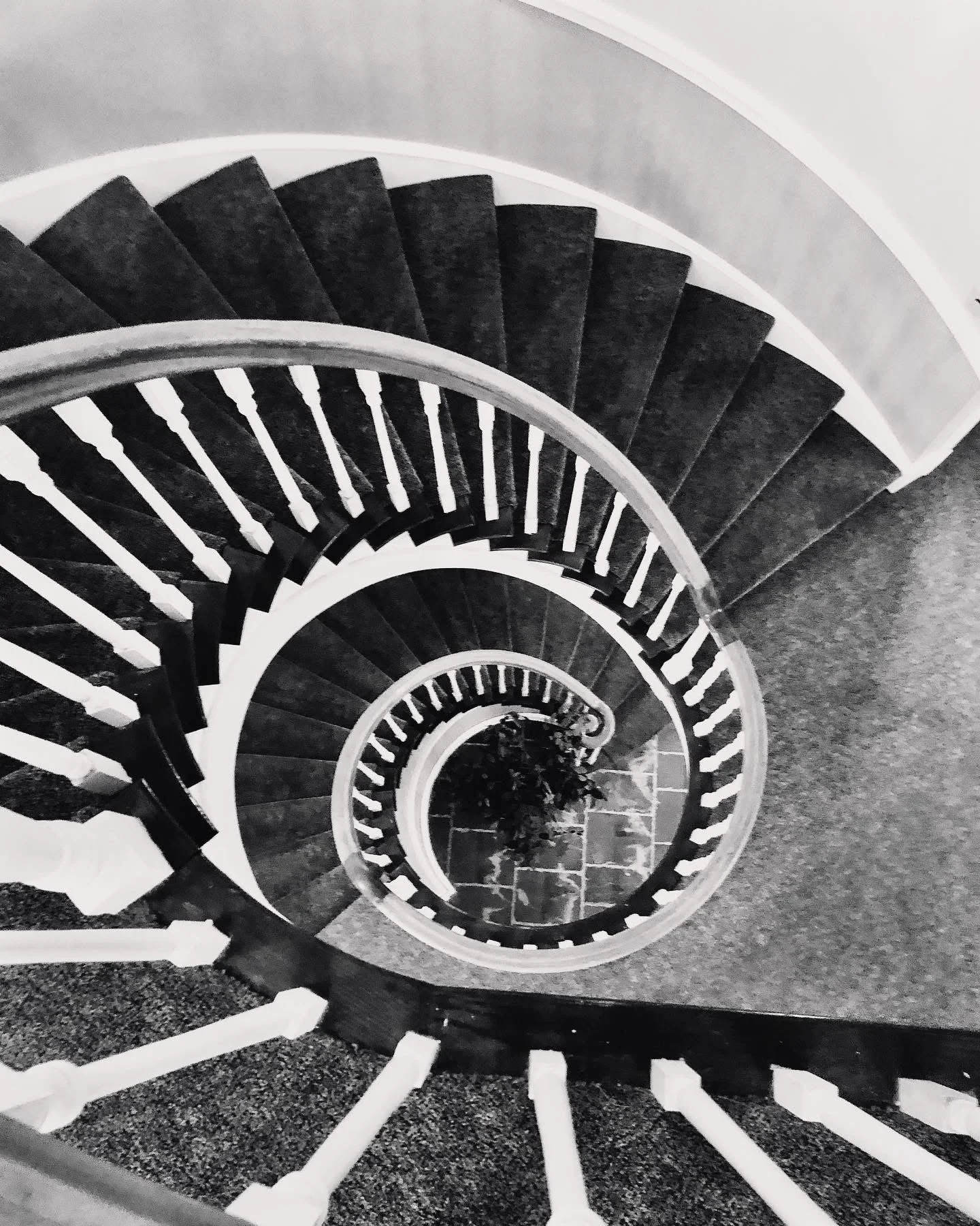 Spiral staircase with black carpeted steps and white railing, viewed from above.