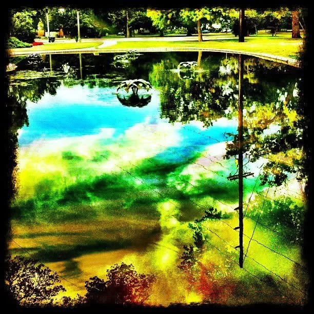 Reflected view of trees, blue sky, and power lines in a pond with a fountain in a park.