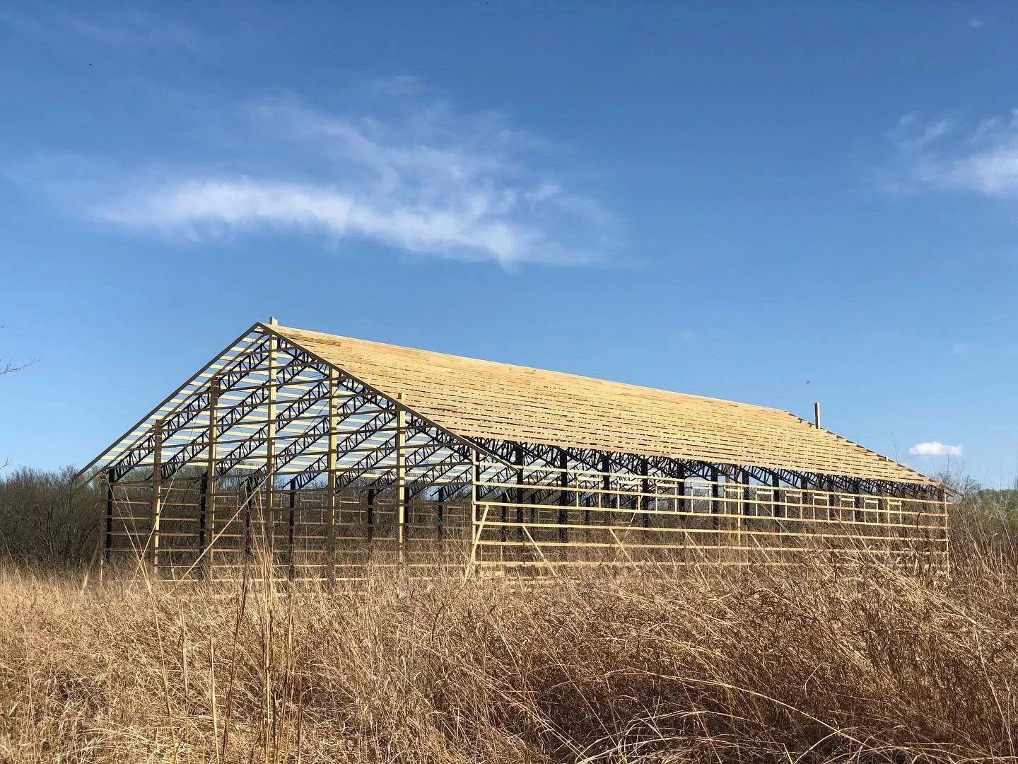 An unfinished wooden structure with a sloped roof frame, situated in a field of dry grass under a blue sky with a few clouds.