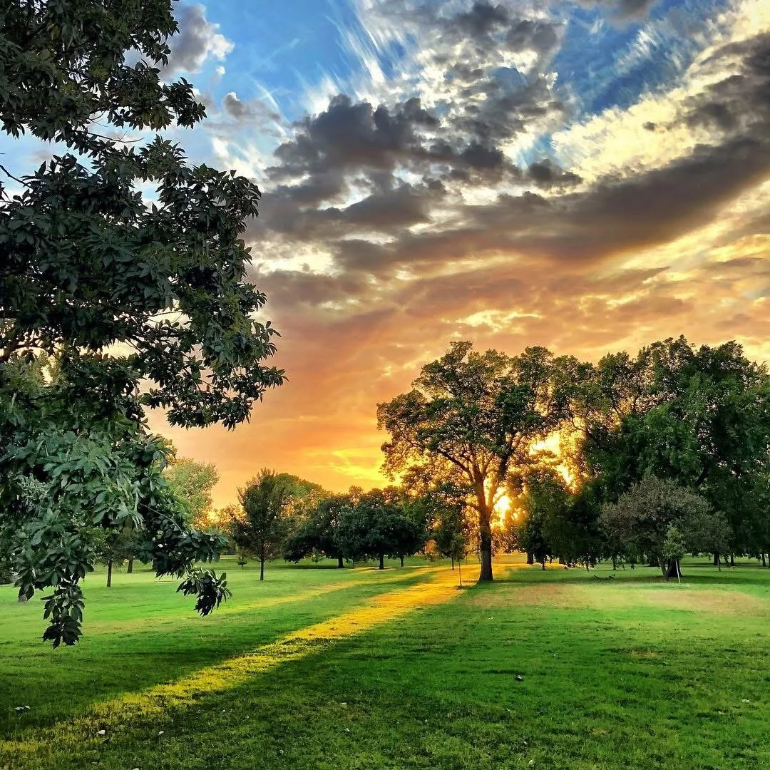 A park scene at sunset with green grass, multiple trees, and a partly cloudy sky with sunlight breaking through.