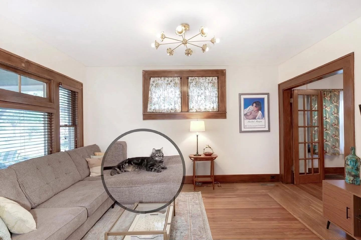 Living room with a beige sofa, wooden trim, and a cat lying on the sofa, with a vintage style lamp, framed artwork, and glass-paned door.