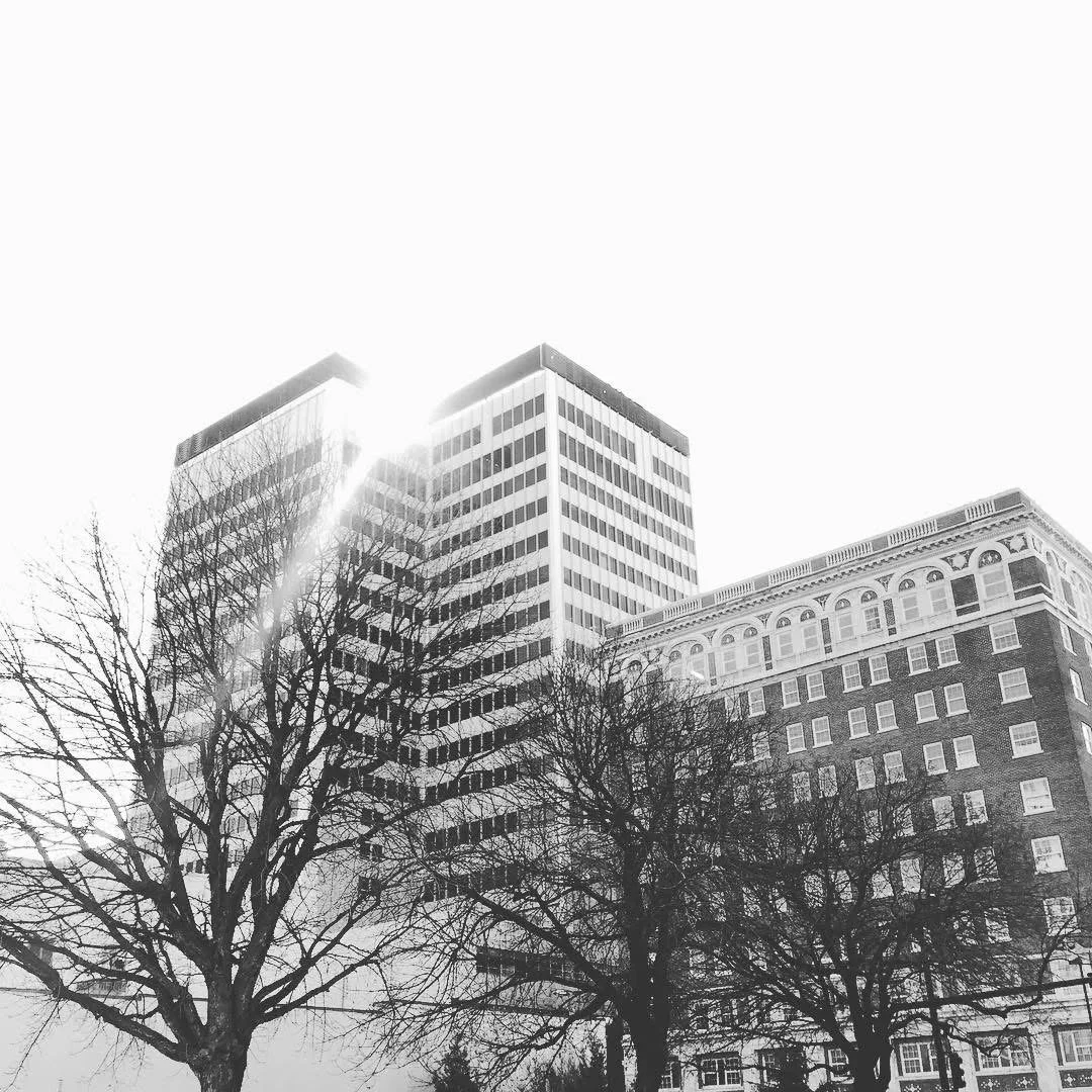 Black and white photo of tall modern buildings with the sun shining behind, bare trees in the foreground.
