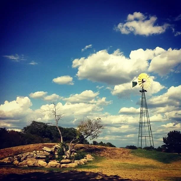 A rural landscape with a single leafless tree surrounded by rocks, a grassy hill, and a windmill under a partly cloudy sky.