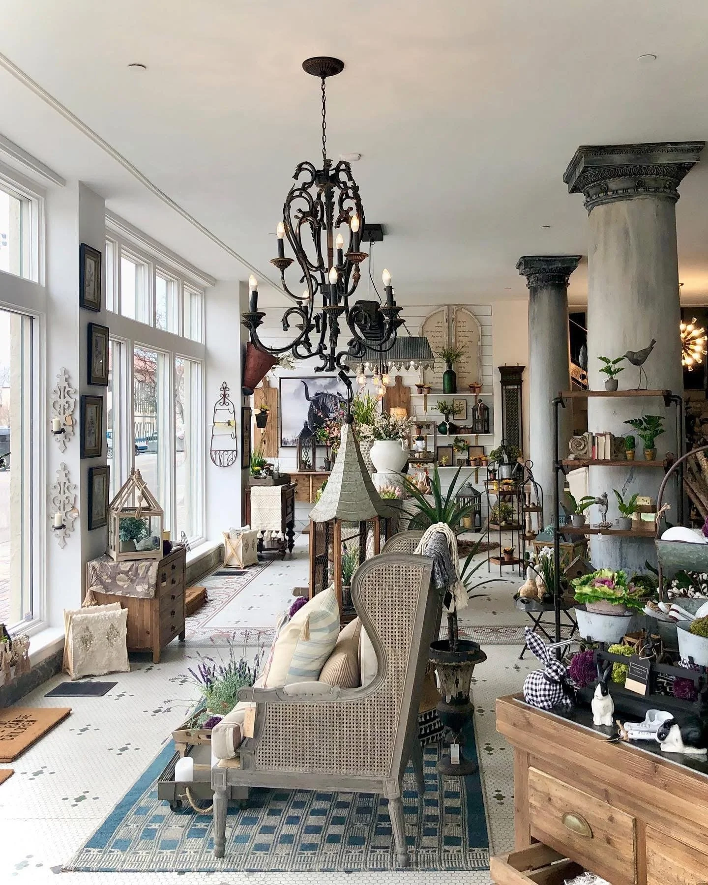 Interior of a store with decorated furniture, potted plants, and decorative objects, illuminated by a black chandelier.