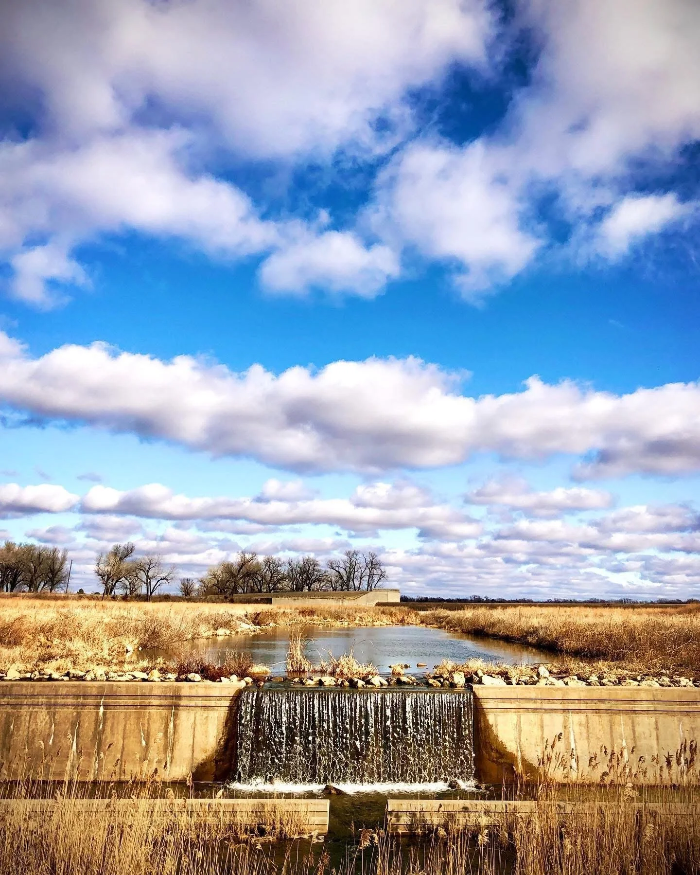 A landscape of a small waterfall over a concrete barrier with a stream flowing into a wider body of water, surrounded by tall dry grass and leafless trees under a partly cloudy sky.
