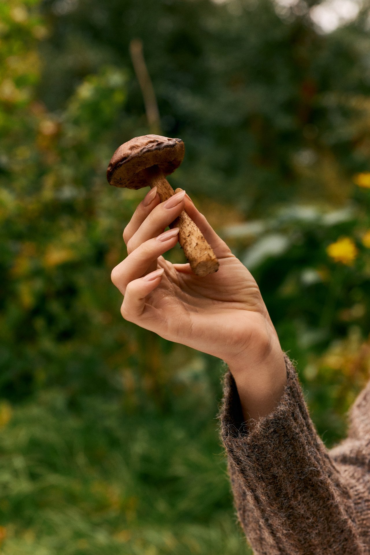 A person's hand holding a brown mushroom with a textured cap against a blurred green outdoor background.