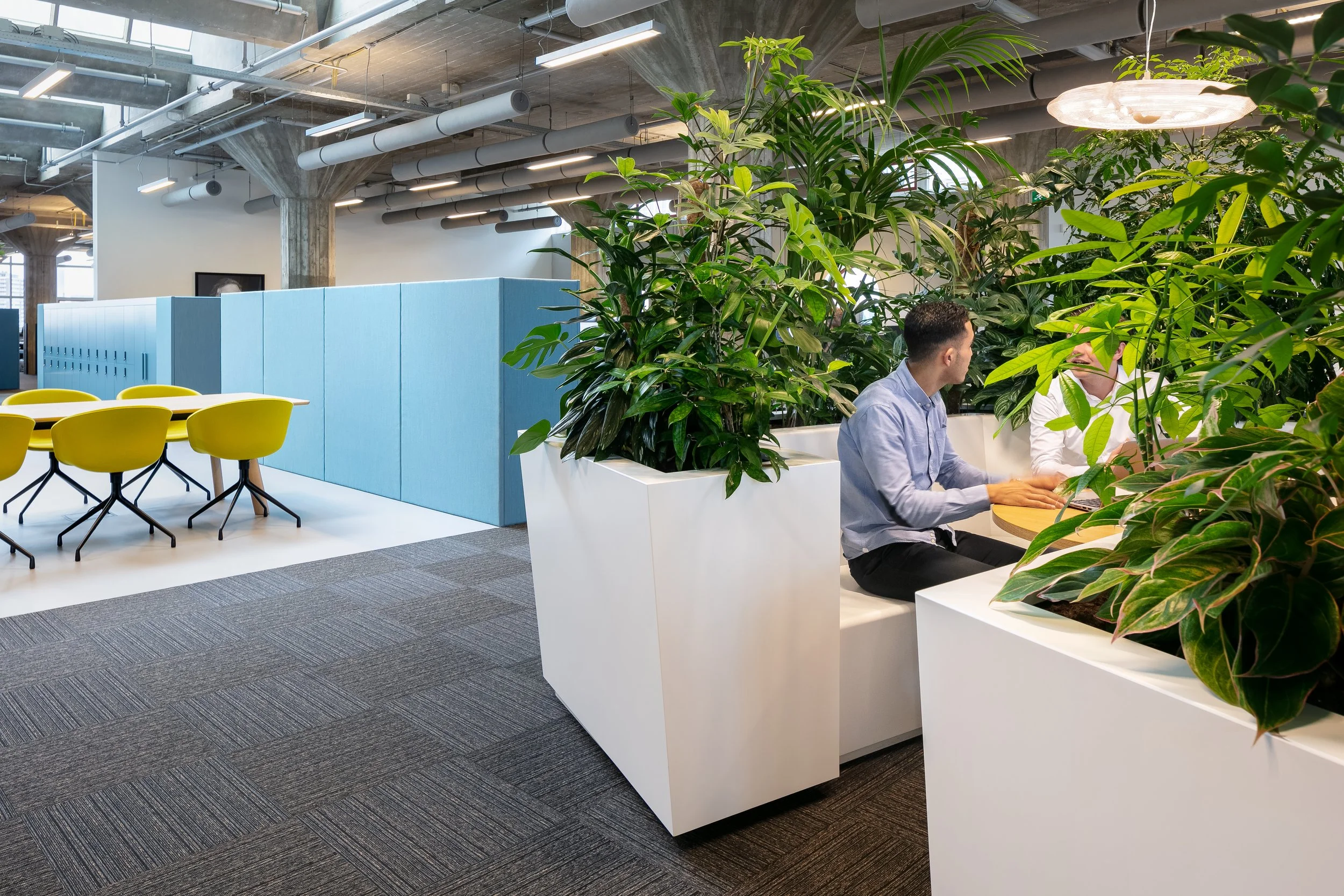 Blue cabinets and planter creating green meeting area at Yuki HQ, Rotterdam, designed by Meeder Ontwerpers.