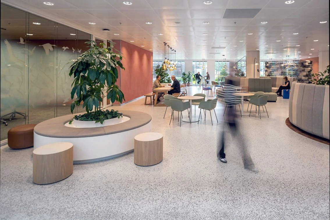 Terrazzo floor with gradient planting and round seating in The Garden Room at Rabobank Headquarters, Utrecht, designed by Meeder Ontwerpers.