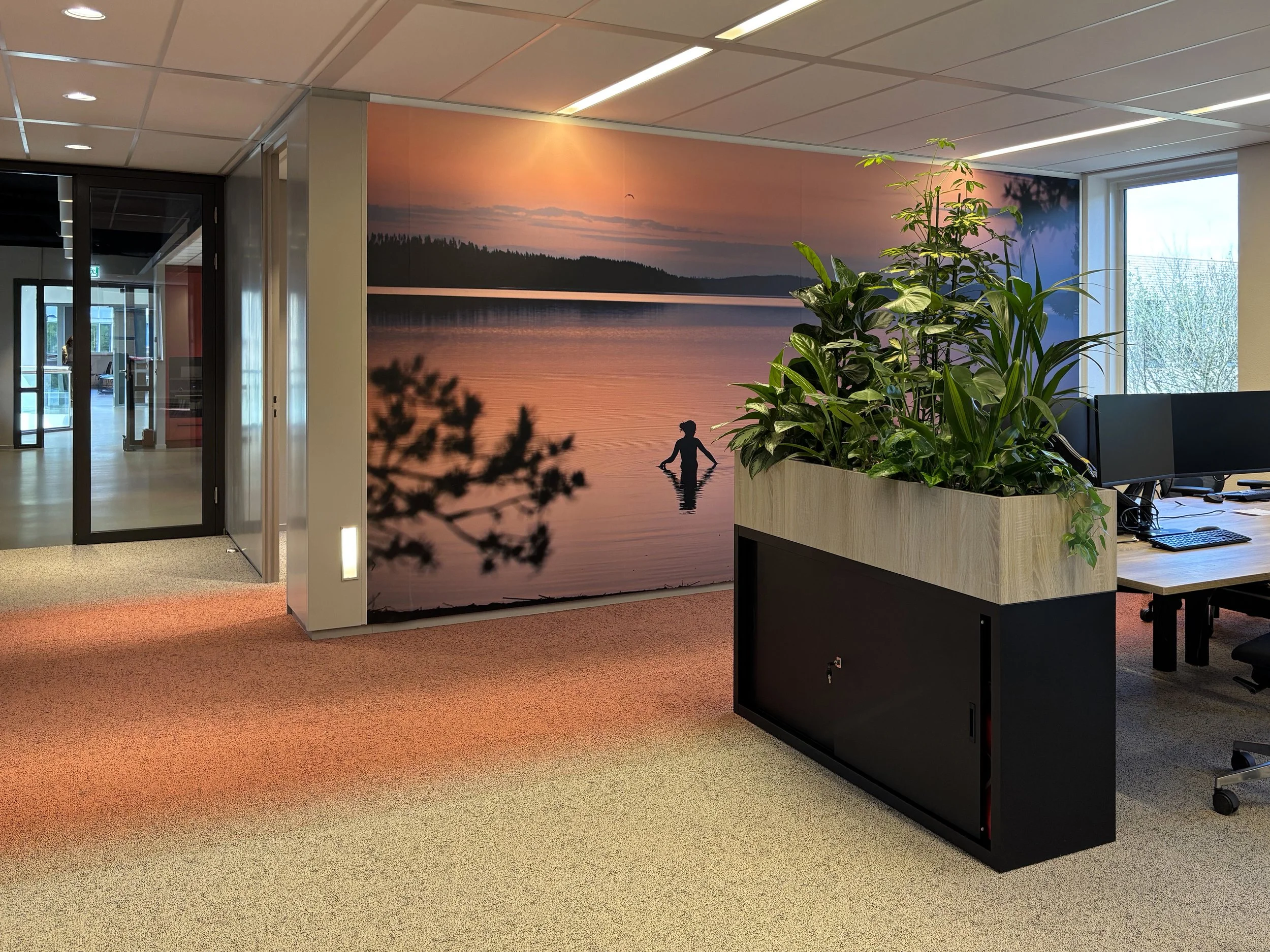 Gradient carpet with red wall visual and plant on cabinet at Northbound Travel office, Naarden, designed by Meeder Ontwerpers