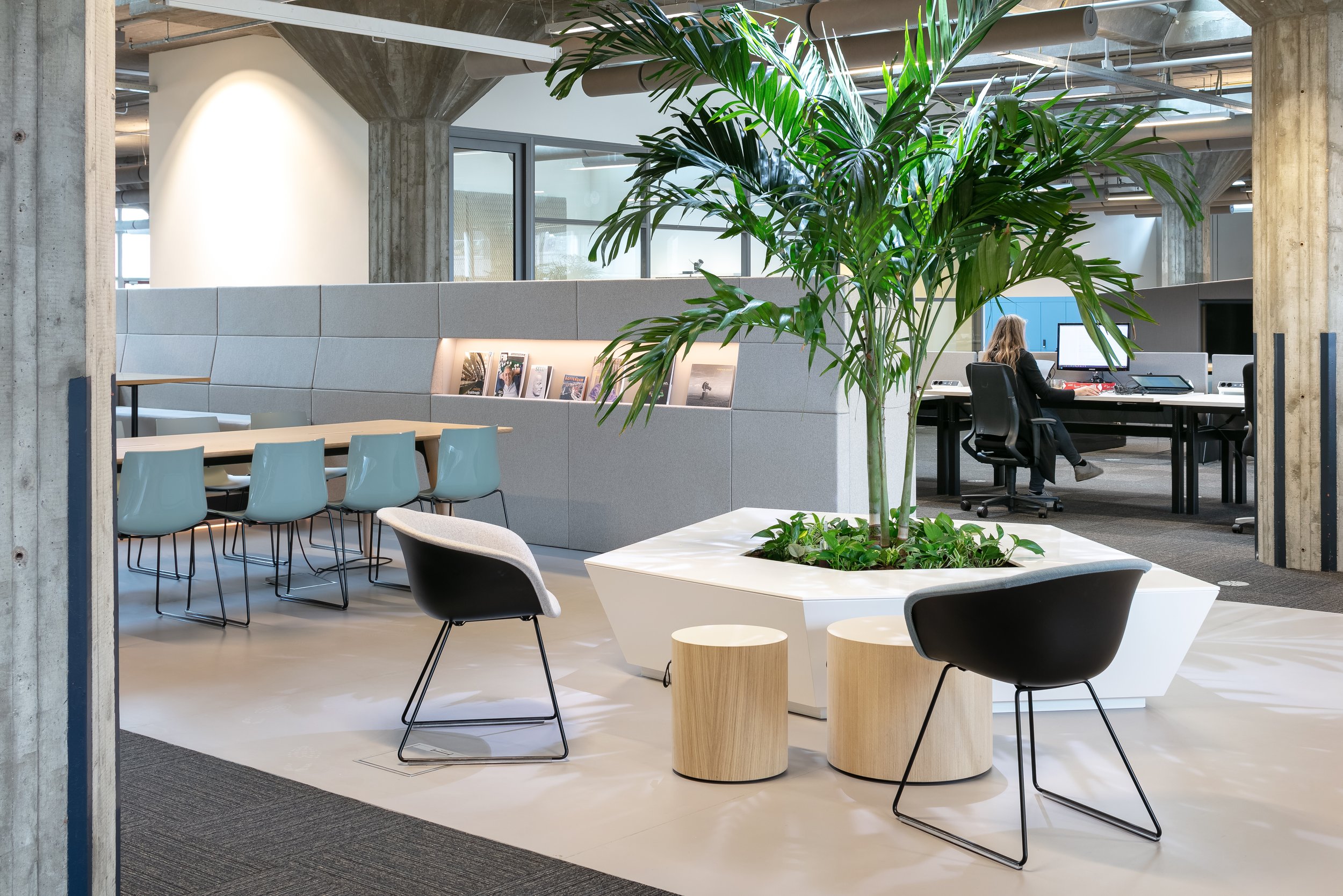 White planter with palm against grey wall at Yuki HQ office, Rotterdam, designed by Meeder Ontwerpers.