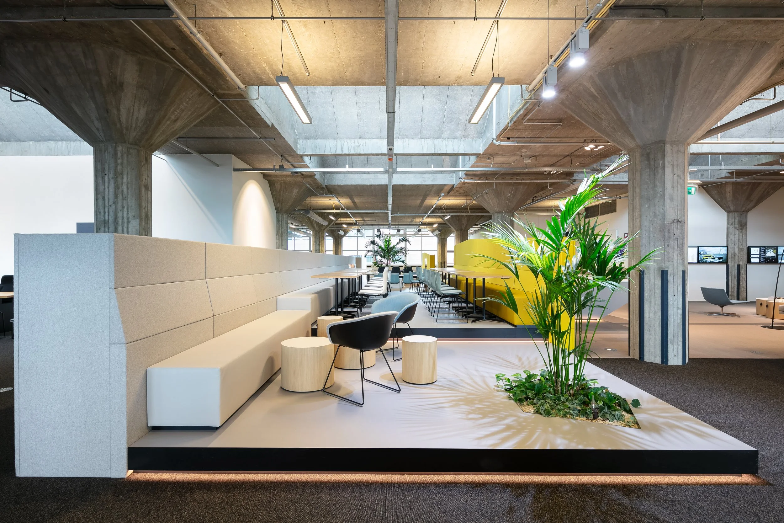Canteen area on raised platform with plant feature at Yuki HQ, Rotterdam, designed by Meeder Ontwerpers.