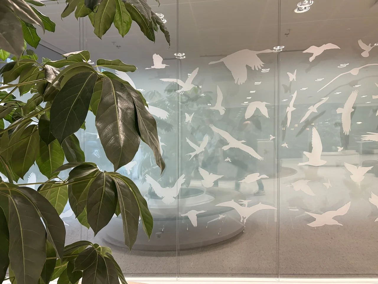 Bird graphic on partition wall in The Garden Room at Rabobank Headquarters, Utrecht, designed by Meeder Ontwerpers.